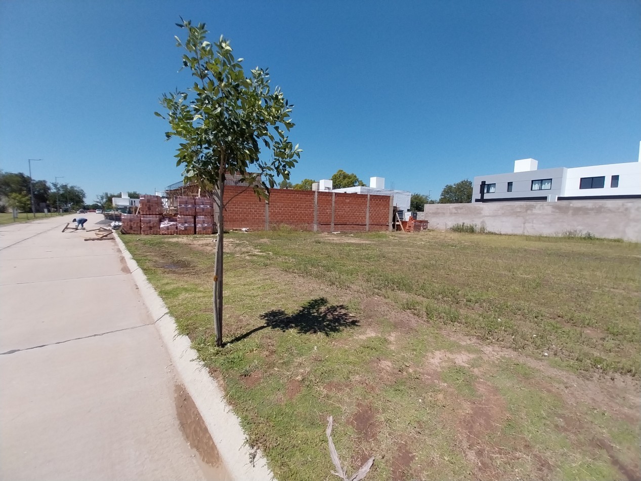 Campo Chico Terreno venta Apto duplex Zona Sur